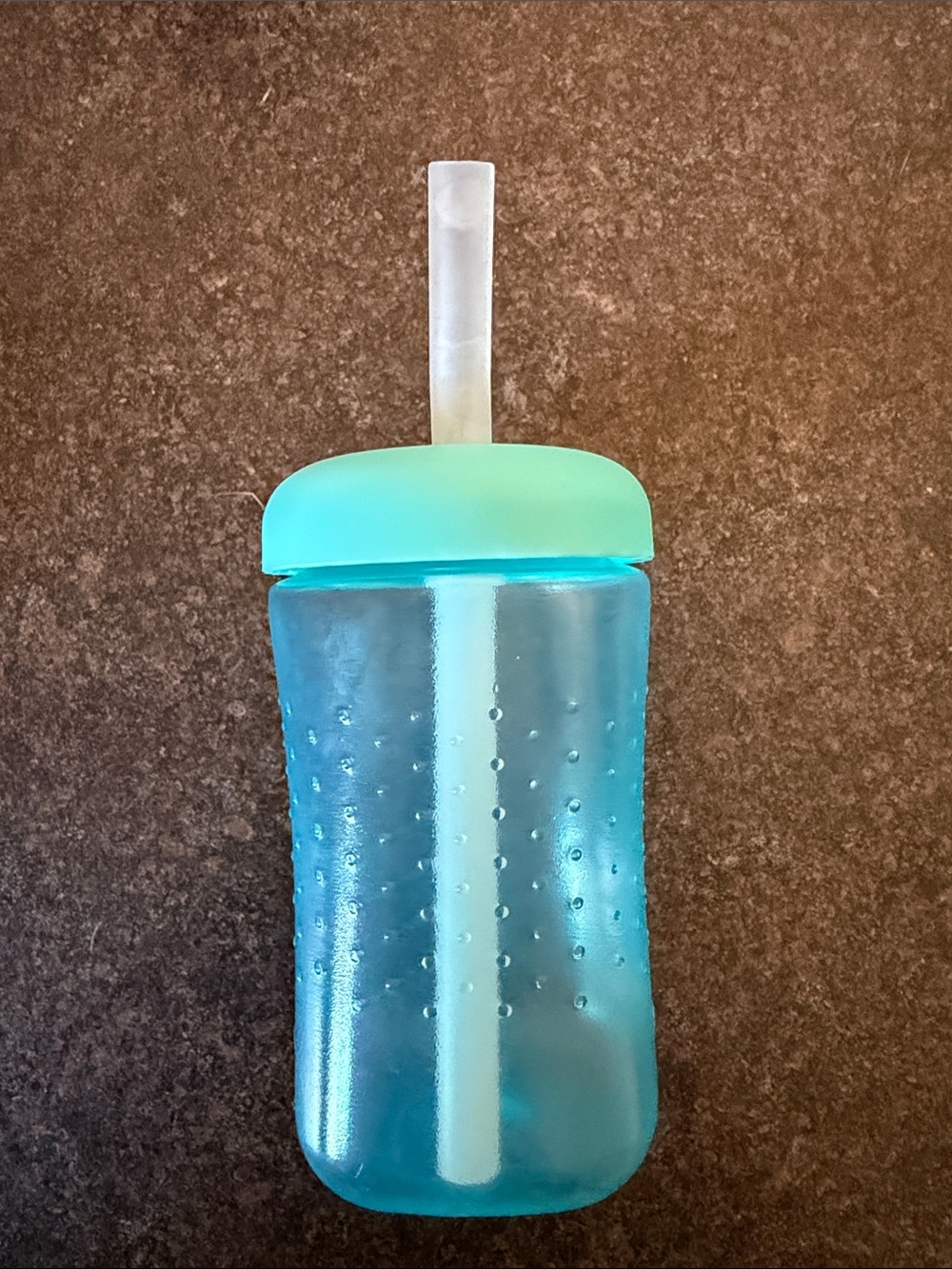 Aqua Blue Reusable Straw Tumbler with Mint Lid